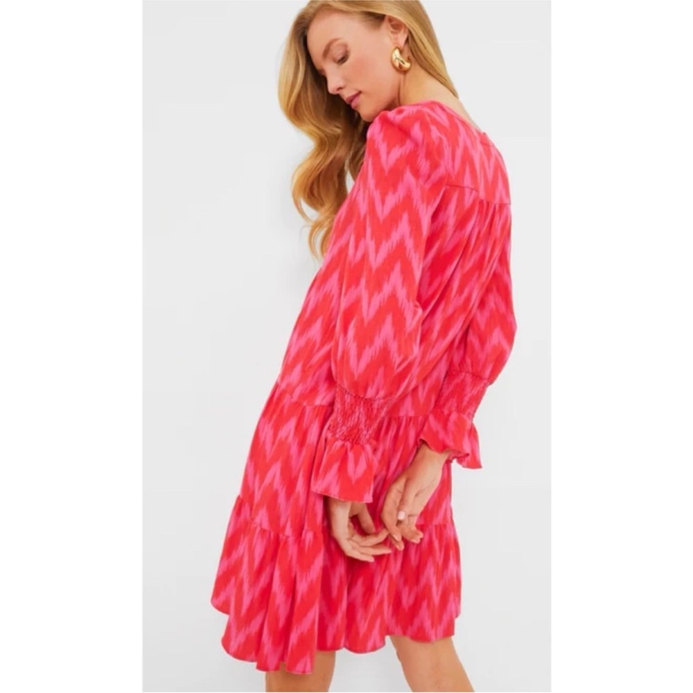 Tuckernuck Pomander Place Hot Pink Ikat Kenzo Dress XL - Picture 3 of 12